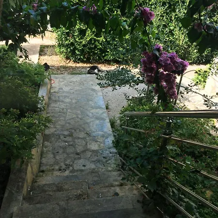 Appartement Horizont