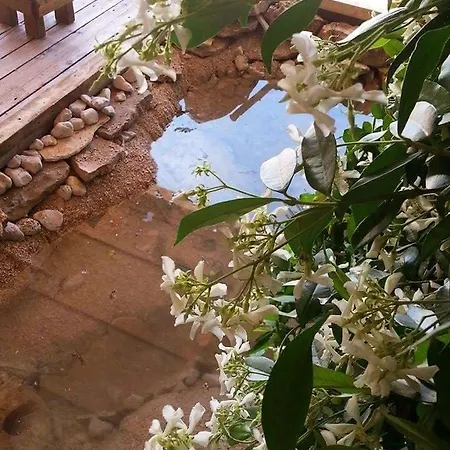 Horizont * Rogoznica (Sibenik-Knin)