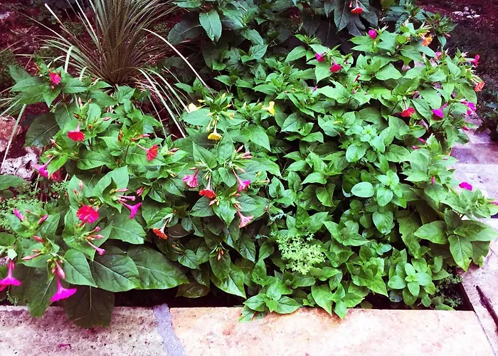 Apartamento Horizont *