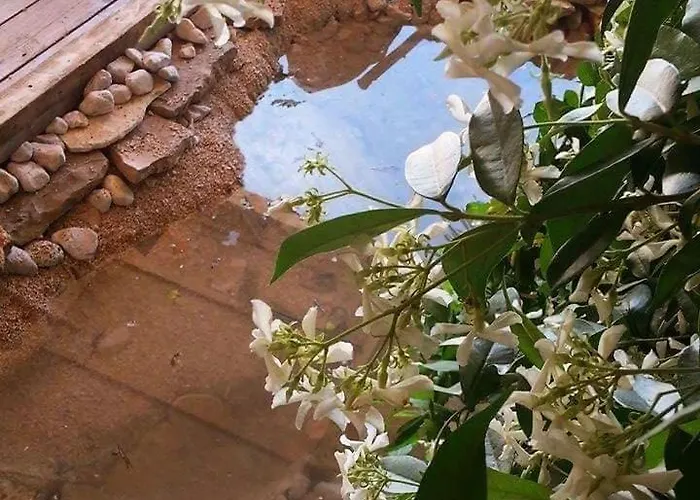 Horizont * Rogoznica (Sibenik-Knin)